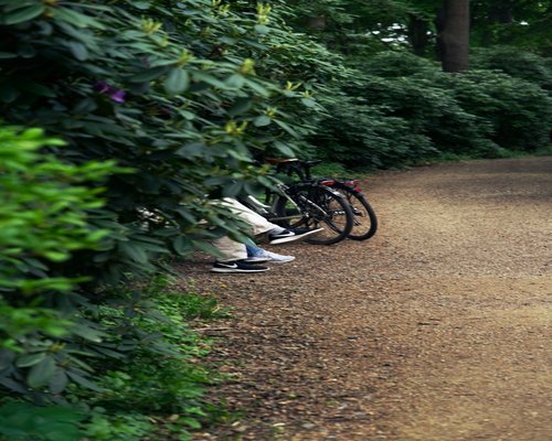 Comfortable walking shoes on a park path